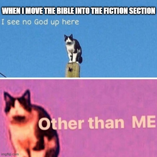 welcome to coolsville | WHEN I MOVE THE BIBLE INTO THE FICTION SECTION | image tagged in hail pole cat,memes,funny memes,cats | made w/ Imgflip meme maker