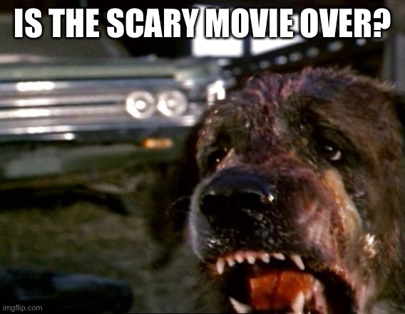 Cujo | IS THE SCARY MOVIE OVER? | image tagged in cujo | made w/ Imgflip meme maker