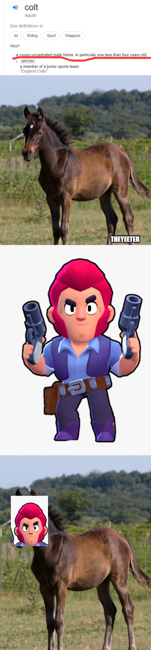 Wait wha- | THEYEETER | image tagged in brawl stars,funny | made w/ Imgflip meme maker