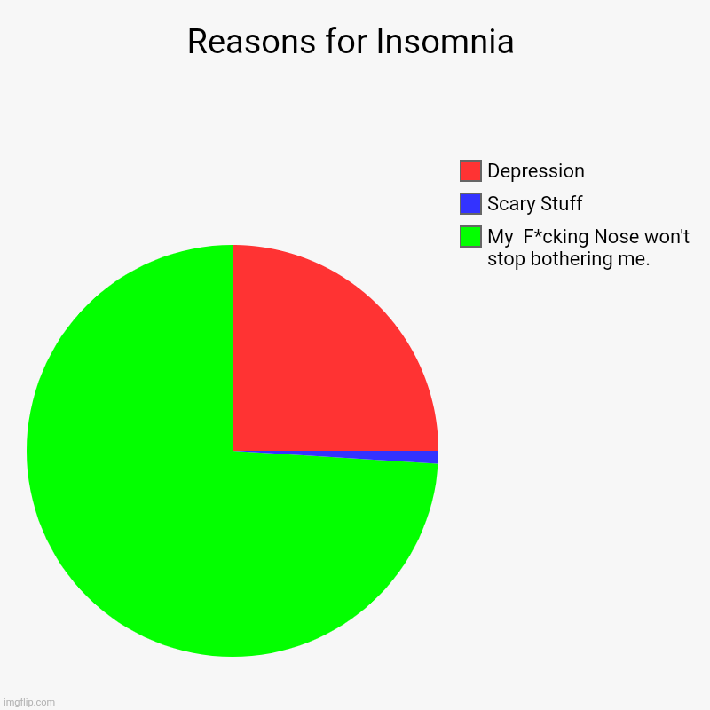 Reasons for Insomnia | My  F*cking Nose won't stop bothering me., Scary Stuff, Depression | image tagged in charts,pie charts | made w/ Imgflip chart maker