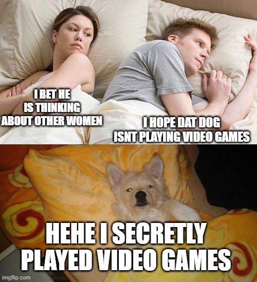 I BET HE IS THINKING ABOUT OTHER WOMEN; I HOPE DAT DOG ISNT PLAYING VIDEO GAMES; HEHE I SECRETLY PLAYED VIDEO GAMES | image tagged in sleeping dog,i bet he's thinking about other women | made w/ Imgflip meme maker