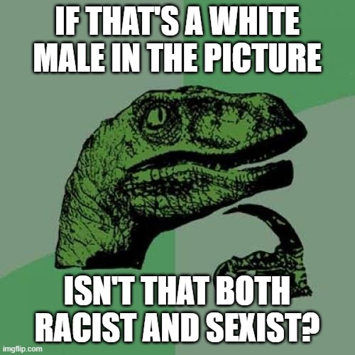 Philosoraptor Meme | IF THAT'S A WHITE MALE IN THE PICTURE ISN'T THAT BOTH RACIST AND SEXIST? | image tagged in memes,philosoraptor | made w/ Imgflip meme maker