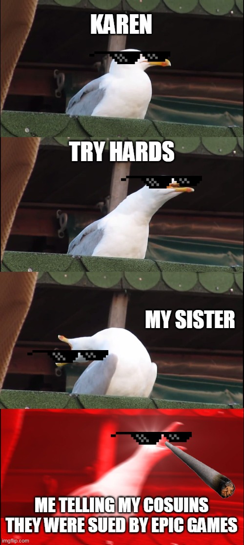 Inhaling Seagull Meme | KAREN; TRY HARDS; MY SISTER; ME TELLING MY COSUINS THEY WERE SUED BY EPIC GAMES | image tagged in memes,inhaling seagull | made w/ Imgflip meme maker