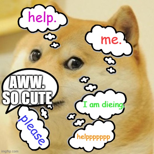 help him. | help. me. AWW. SO CUTE; I am dieing. please; helppppppp | image tagged in memes,doge | made w/ Imgflip meme maker