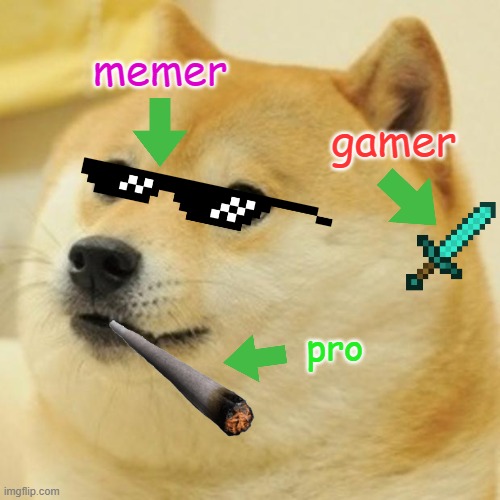 Doge | memer; gamer; pro | image tagged in memes,doge | made w/ Imgflip meme maker