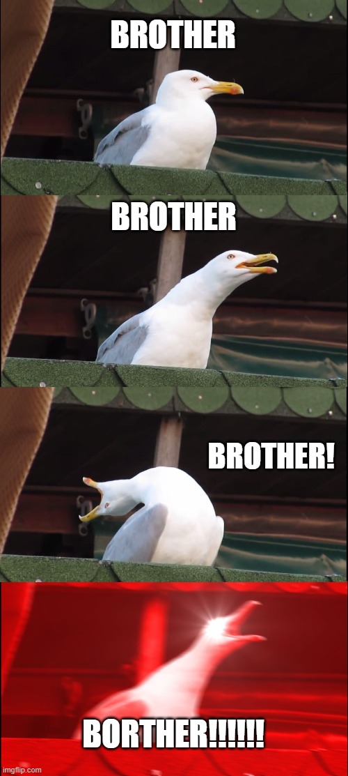 Inhaling Seagull Meme | BROTHER; BROTHER; BROTHER! BORTHER!!!!!! | image tagged in memes,inhaling seagull | made w/ Imgflip meme maker