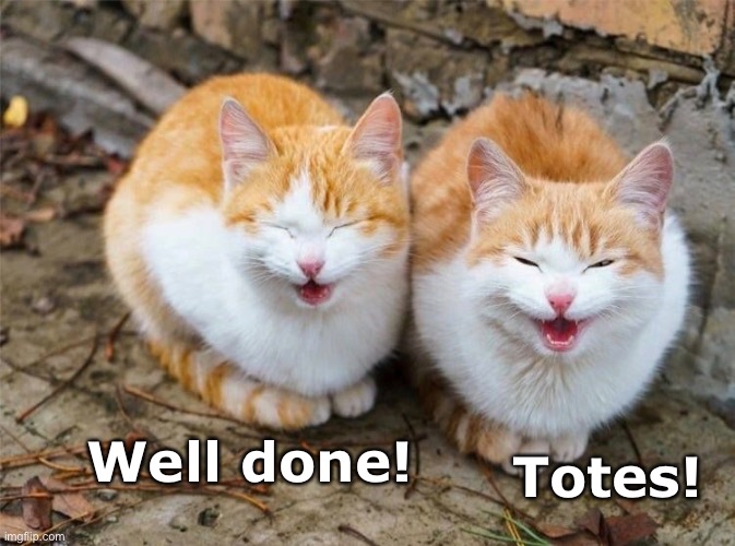 Well done! Totes! | made w/ Imgflip meme maker