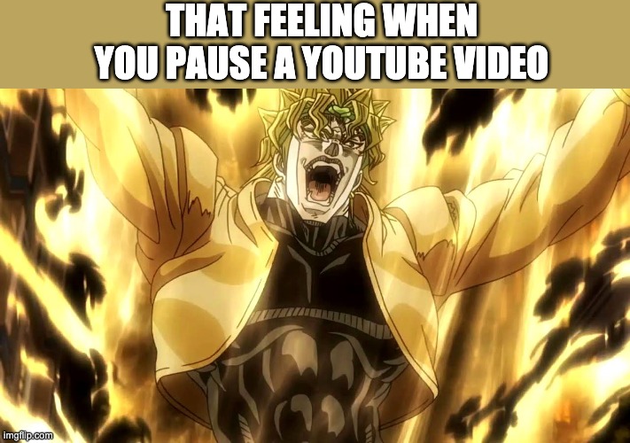 Za Warudo | THAT FEELING WHEN YOU PAUSE A YOUTUBE VIDEO | image tagged in za warudo | made w/ Imgflip meme maker