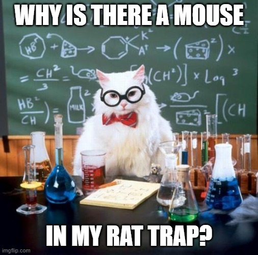 Chemistry Cat | WHY IS THERE A MOUSE; IN MY RAT TRAP? | image tagged in memes,chemistry cat | made w/ Imgflip meme maker