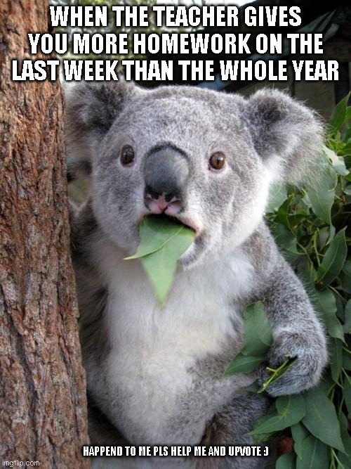its true and is currently happening to me rn... | WHEN THE TEACHER GIVES YOU MORE HOMEWORK ON THE LAST WEEK THAN THE WHOLE YEAR; HAPPEND TO ME PLS HELP ME AND UPVOTE :) | image tagged in memes,surprised koala | made w/ Imgflip meme maker