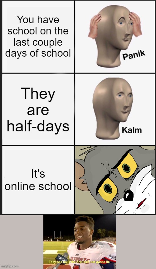 Sometimes, it just doesn't make sense | You have school on the last couple days of school; They are half-days; It's online school | image tagged in memes,panik kalm panik | made w/ Imgflip meme maker