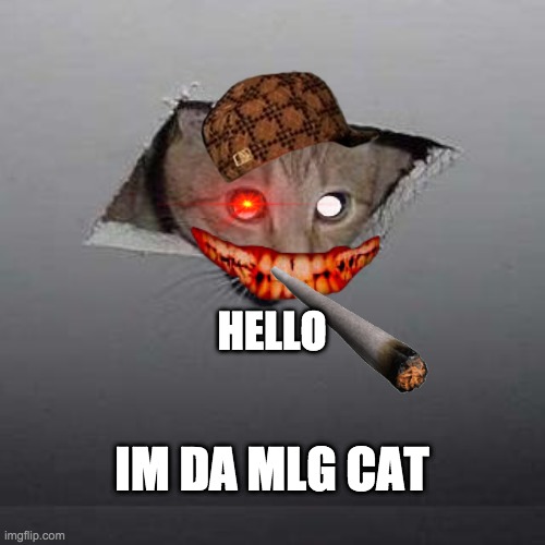 mlg cat | HELLO; IM DA MLG CAT | image tagged in memes,ceiling cat | made w/ Imgflip meme maker