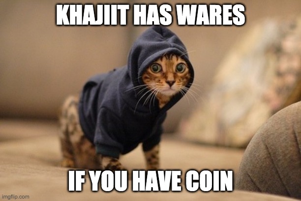 Khajiit |  KHAJIIT HAS WARES; IF YOU HAVE COIN | image tagged in memes,hoody cat | made w/ Imgflip meme maker