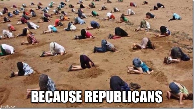 Head in sand | BECAUSE REPUBLICANS | image tagged in head in sand | made w/ Imgflip meme maker