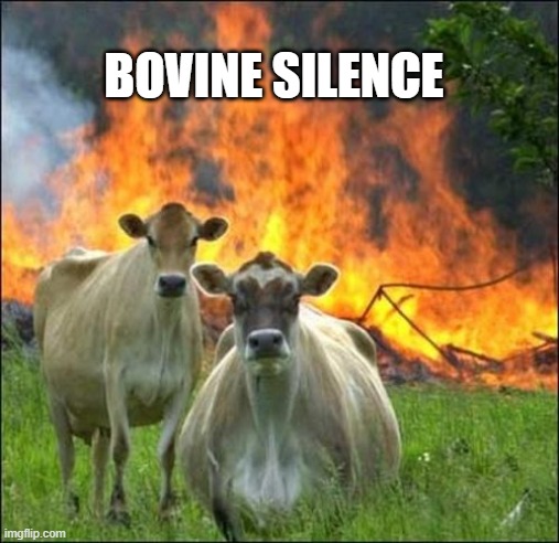 Bovine Silence | BOVINE SILENCE | image tagged in memes | made w/ Imgflip meme maker