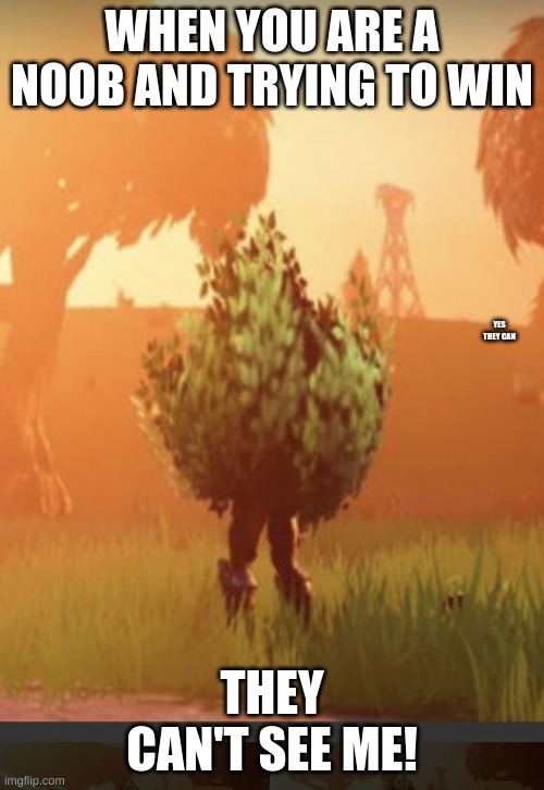 Fortnite bush | WHEN YOU ARE A NOOB AND TRYING TO WIN; YES THEY CAN; THEY CAN'T SEE ME! | image tagged in fortnite bush | made w/ Imgflip meme maker