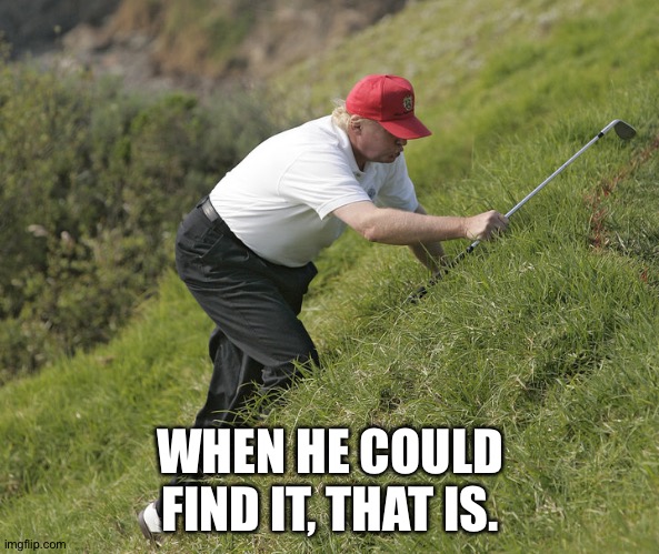 trump golfing | WHEN HE COULD FIND IT, THAT IS. | image tagged in trump golfing | made w/ Imgflip meme maker