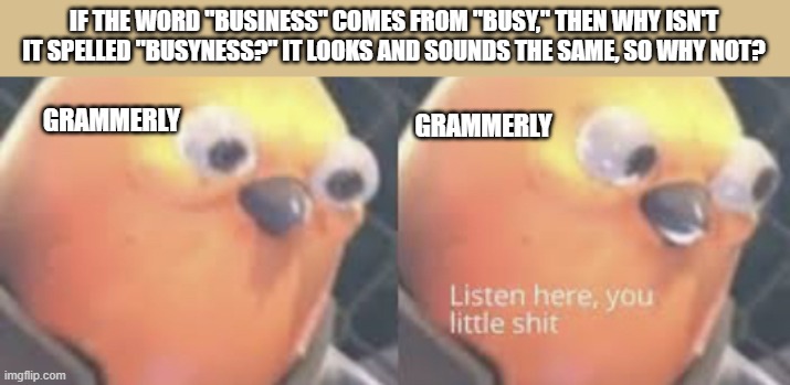 Listen here you little shit bird | IF THE WORD "BUSINESS" COMES FROM "BUSY," THEN WHY ISN'T IT SPELLED "BUSYNESS?" IT LOOKS AND SOUNDS THE SAME, SO WHY NOT? GRAMMERLY; GRAMMERLY | image tagged in listen here you little shit bird | made w/ Imgflip meme maker