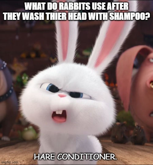 Daily Bad Joke June 22 2020 | WHAT DO RABBITS USE AFTER THEY WASH THIER HEAD WITH SHAMPOO? HARE CONDITIONER. | image tagged in white rabbit | made w/ Imgflip meme maker