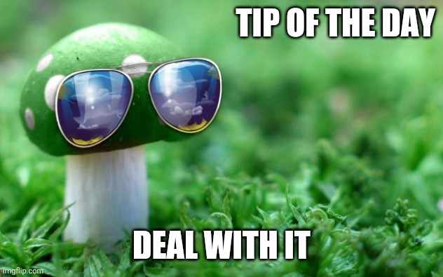 Deal With it Mushroom | TIP OF THE DAY DEAL WITH IT | image tagged in deal with it mushroom | made w/ Imgflip meme maker