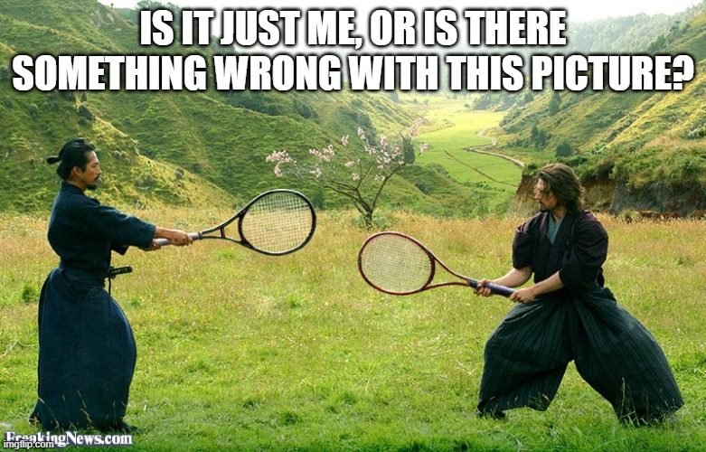 Samurai Tennis | IS IT JUST ME, OR IS THERE SOMETHING WRONG WITH THIS PICTURE? | image tagged in samurai tennis | made w/ Imgflip meme maker