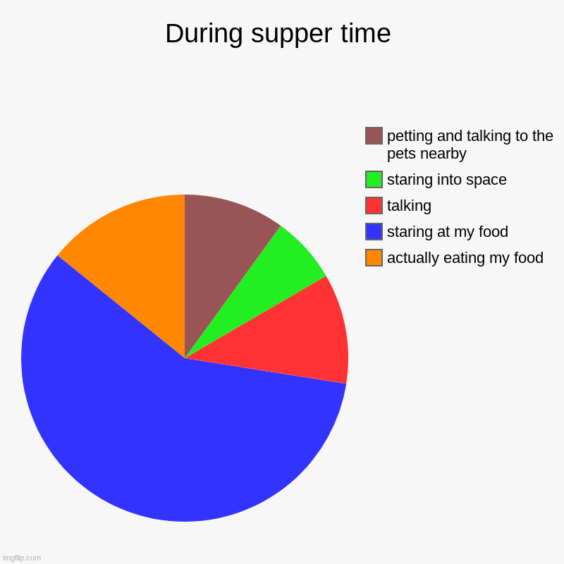 how i spend my supper time | During supper time | actually eating my food, staring at my food, talking, staring into space, petting and talking to the pets nearby | image tagged in charts,pie charts | made w/ Imgflip chart maker
