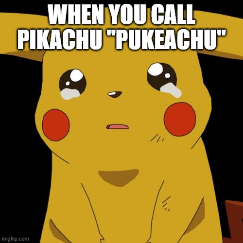 Pikachu crying | WHEN YOU CALL PIKACHU "PUKEACHU" | image tagged in pikachu crying | made w/ Imgflip meme maker