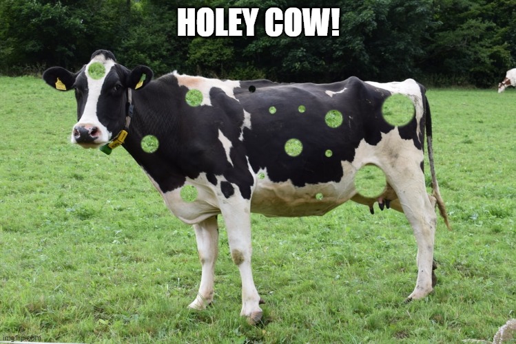 HOLEY COW! | made w/ Imgflip meme maker