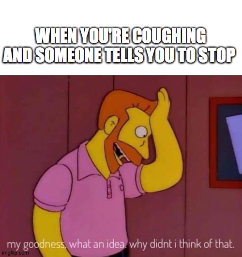 Obviously | WHEN YOU'RE COUGHING AND SOMEONE TELLS YOU TO STOP | image tagged in my goodness what an idea why didn't i think of that | made w/ Imgflip meme maker