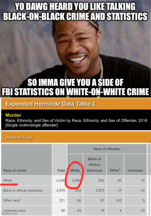 Y’all aren’t ready to talk about white-on-white crime are ya | YO DAWG HEARD YOU LIKE TALKING BLACK-ON-BLACK CRIME AND STATISTICS; SO IMMA GIVE YOU A SIDE OF FBI STATISTICS ON WHITE-ON-WHITE CRIME | image tagged in memes,yo dawg heard you,white-on-white violence,gun violence,gun control,all lives matter | made w/ Imgflip meme maker
