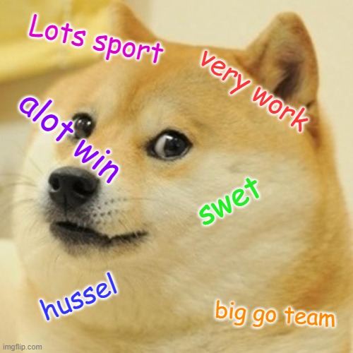 Doge Meme | Lots sport; very work; alot win; swet; hussel; big go team | image tagged in memes,doge | made w/ Imgflip meme maker