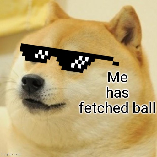 Doge | Me has fetched ball | image tagged in memes,doge | made w/ Imgflip meme maker