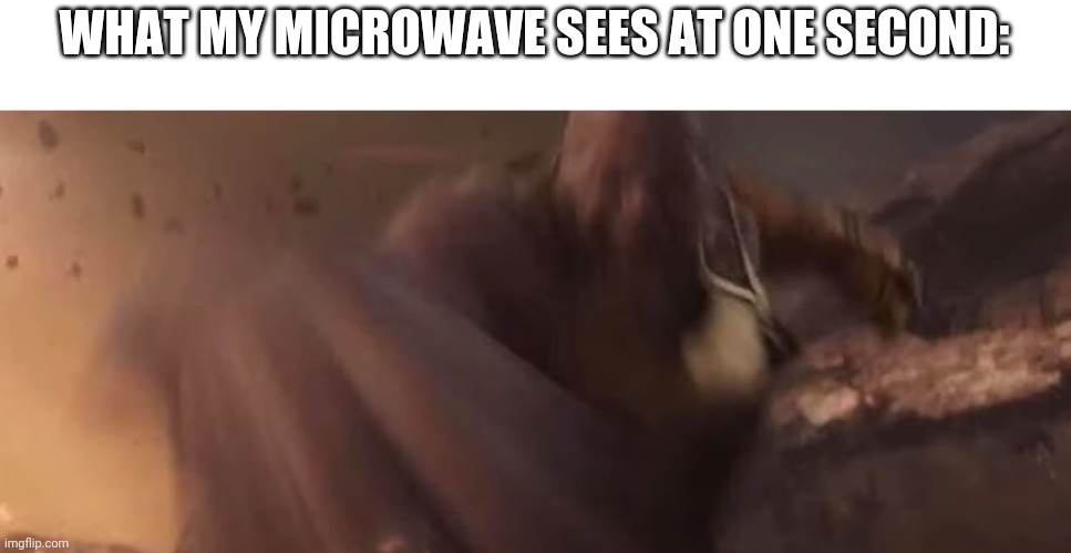 WHAT MY MICROWAVE SEES AT ONE SECOND: | image tagged in funny,memes | made w/ Imgflip meme maker