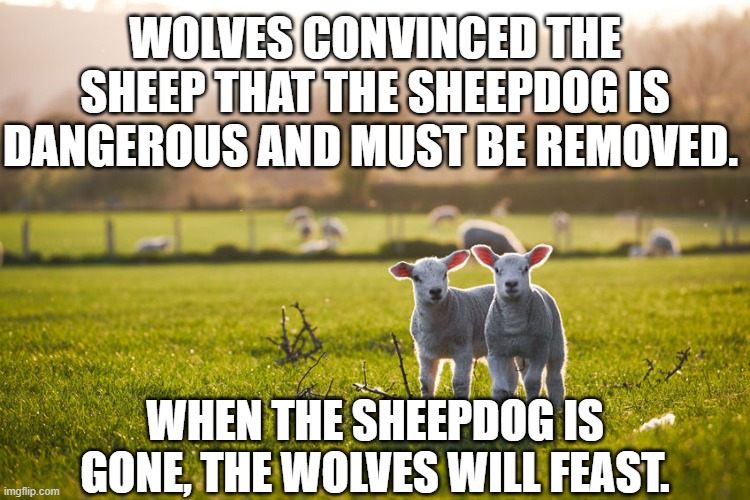 Wolves, Sheep, and Dogs | WOLVES CONVINCED THE SHEEP THAT THE SHEEPDOG IS DANGEROUS AND MUST BE REMOVED. WHEN THE SHEEPDOG IS GONE, THE WOLVES WILL FEAST. | image tagged in sheep,antifa,blm,police | made w/ Imgflip meme maker
