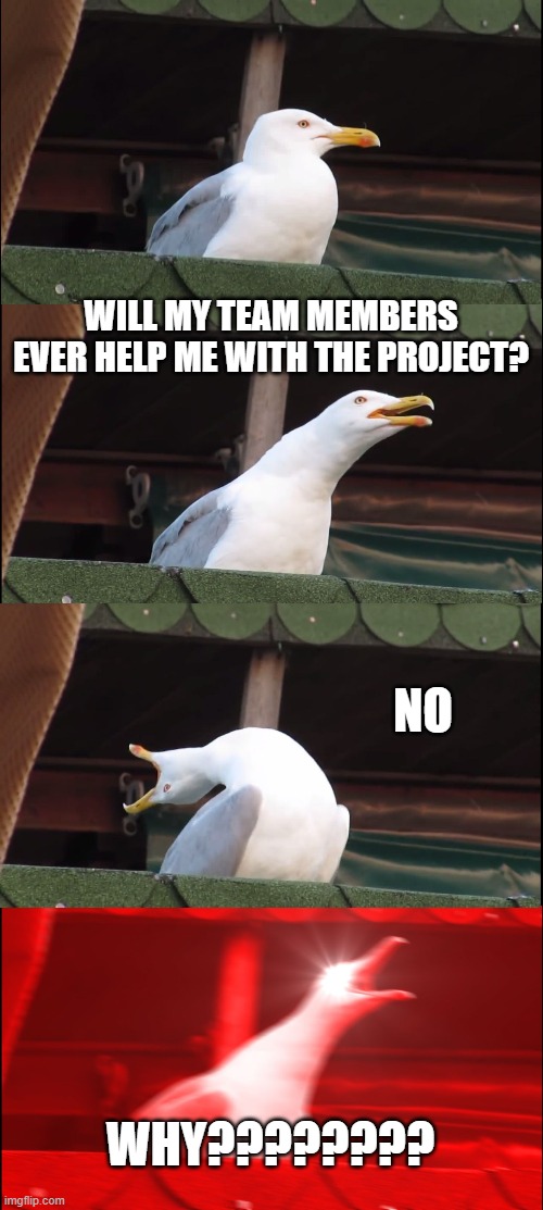 School projects | WILL MY TEAM MEMBERS EVER HELP ME WITH THE PROJECT? NO; WHY???????? | image tagged in memes,inhaling seagull | made w/ Imgflip meme maker