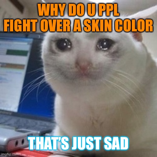 Crying cat | WHY DO U PPL FIGHT OVER A SKIN COLOR THAT’S JUST SAD | image tagged in crying cat | made w/ Imgflip meme maker