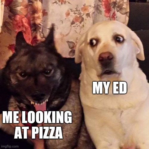 Rabid dog and freaked out friend | MY ED; ME LOOKING 
AT PIZZA | image tagged in rabid dog and freaked out friend | made w/ Imgflip meme maker