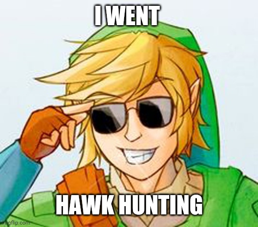 Troll Link | I WENT HAWK HUNTING | image tagged in troll link | made w/ Imgflip meme maker