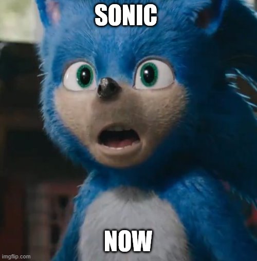 Sonic Movie | SONIC NOW | image tagged in sonic movie | made w/ Imgflip meme maker