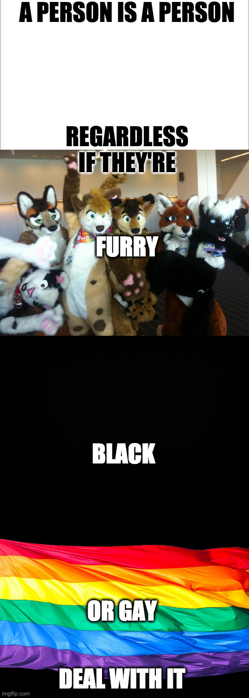People are people, deal with it. |  A PERSON IS A PERSON; REGARDLESS IF THEY'RE; FURRY; BLACK; OR GAY; DEAL WITH IT | image tagged in furry,gay,black,be nice,lgbtq,anti racist | made w/ Imgflip meme maker