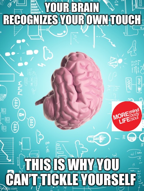 YOUR BRAIN RECOGNIZES YOUR OWN TOUCH; THIS IS WHY YOU CAN’T TICKLE YOURSELF | made w/ Imgflip meme maker