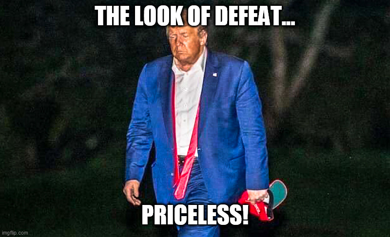 Defeated Trump Meme | THE LOOK OF DEFEAT... PRICELESS! | image tagged in defeated trump meme | made w/ Imgflip meme maker