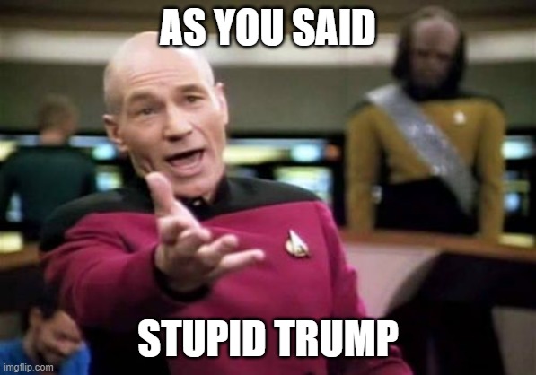 Picard Wtf Meme | AS YOU SAID STUPID TRUMP | image tagged in memes,picard wtf | made w/ Imgflip meme maker