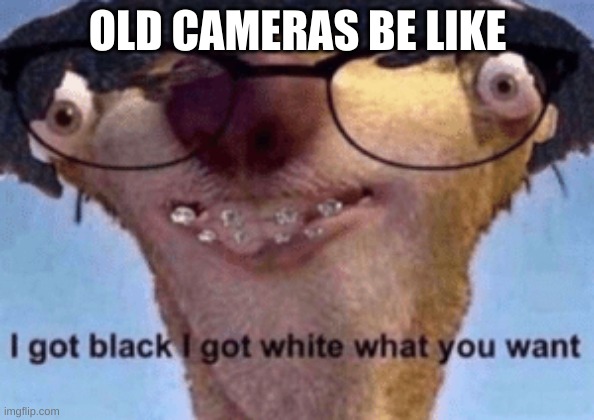 yes | OLD CAMERAS BE LIKE | image tagged in i got black i got white what ya want,i have a plan,just you wait,just you waaaait | made w/ Imgflip meme maker