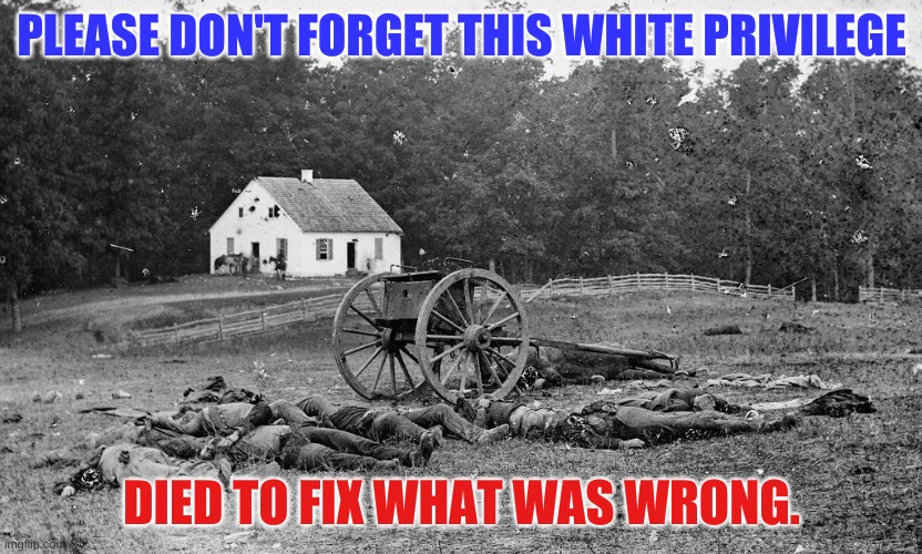What we've forgotten. | PLEASE DON'T FORGET THIS WHITE PRIVILEGE; DIED TO FIX WHAT WAS WRONG. | image tagged in civil war casualties | made w/ Imgflip meme maker