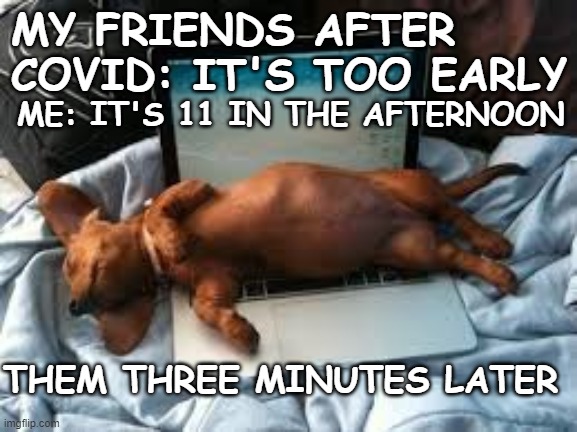 MY FRIENDS AFTER COVID: IT'S TOO EARLY; ME: IT'S 11 IN THE AFTERNOON; THEM THREE MINUTES LATER | image tagged in funny memes,dogs | made w/ Imgflip meme maker
