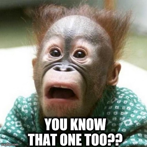 Shocked Monkey | YOU KNOW THAT ONE TOO?? | image tagged in shocked monkey | made w/ Imgflip meme maker