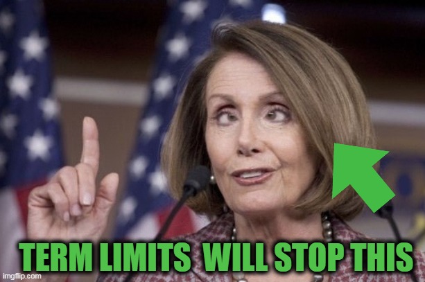 Nancy pelosi | TERM LIMITS  WILL STOP THIS | image tagged in nancy pelosi | made w/ Imgflip meme maker