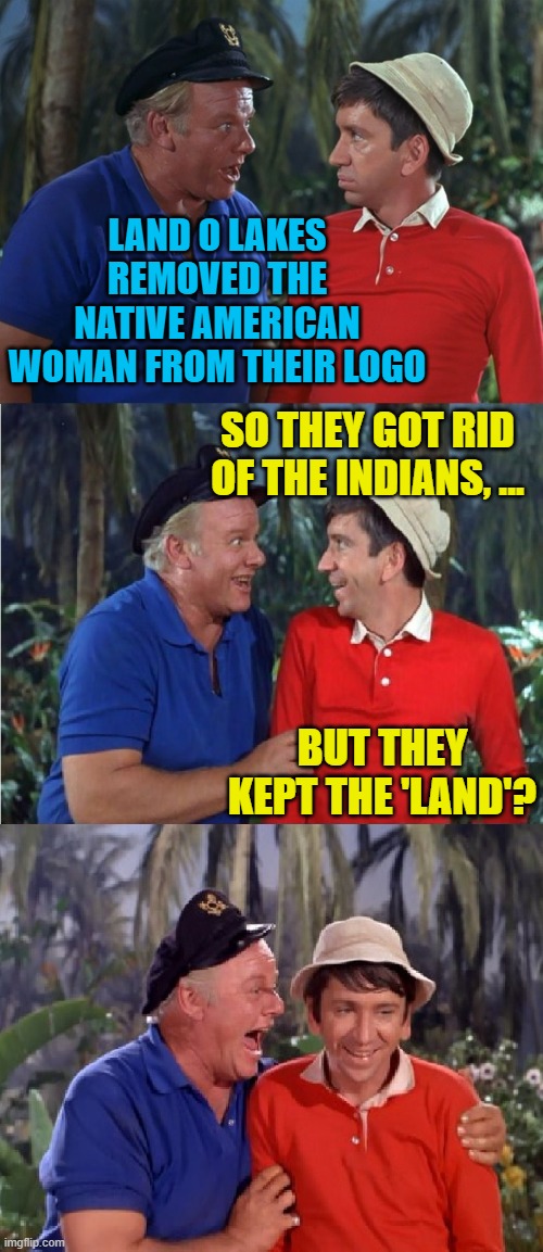 Cancel culture is the true systematic racism | LAND O LAKES REMOVED THE NATIVE AMERICAN WOMAN FROM THEIR LOGO; SO THEY GOT RID OF THE INDIANS, ... BUT THEY KEPT THE 'LAND'? | image tagged in gilligan bad pun,cancel culture,memes,stupid liberals | made w/ Imgflip meme maker