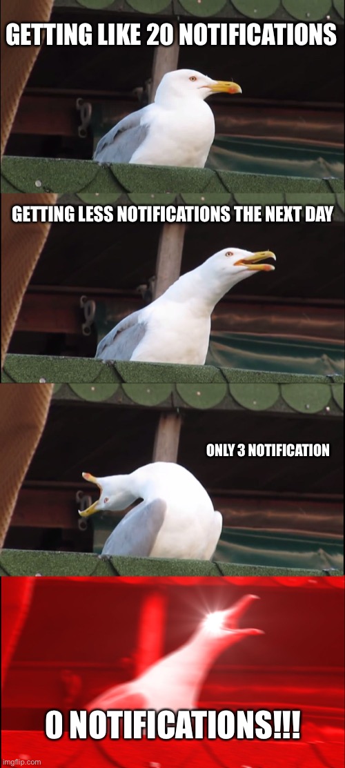 Inhaling Seagull Meme | GETTING LIKE 20 NOTIFICATIONS GETTING LESS NOTIFICATIONS THE NEXT DAY ONLY 3 NOTIFICATION 0 NOTIFICATIONS!!! | image tagged in memes,inhaling seagull | made w/ Imgflip meme maker